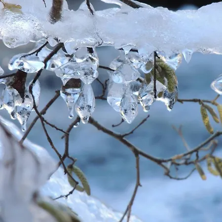 T2 4 Couchages Au Centre De Avec Ascenseur - Fr-1-234-312 * كوتيريه